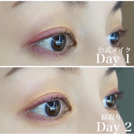 ジューシーラスティングティント/rom&nd/リップティントを使ったクチコミ(10枚目)