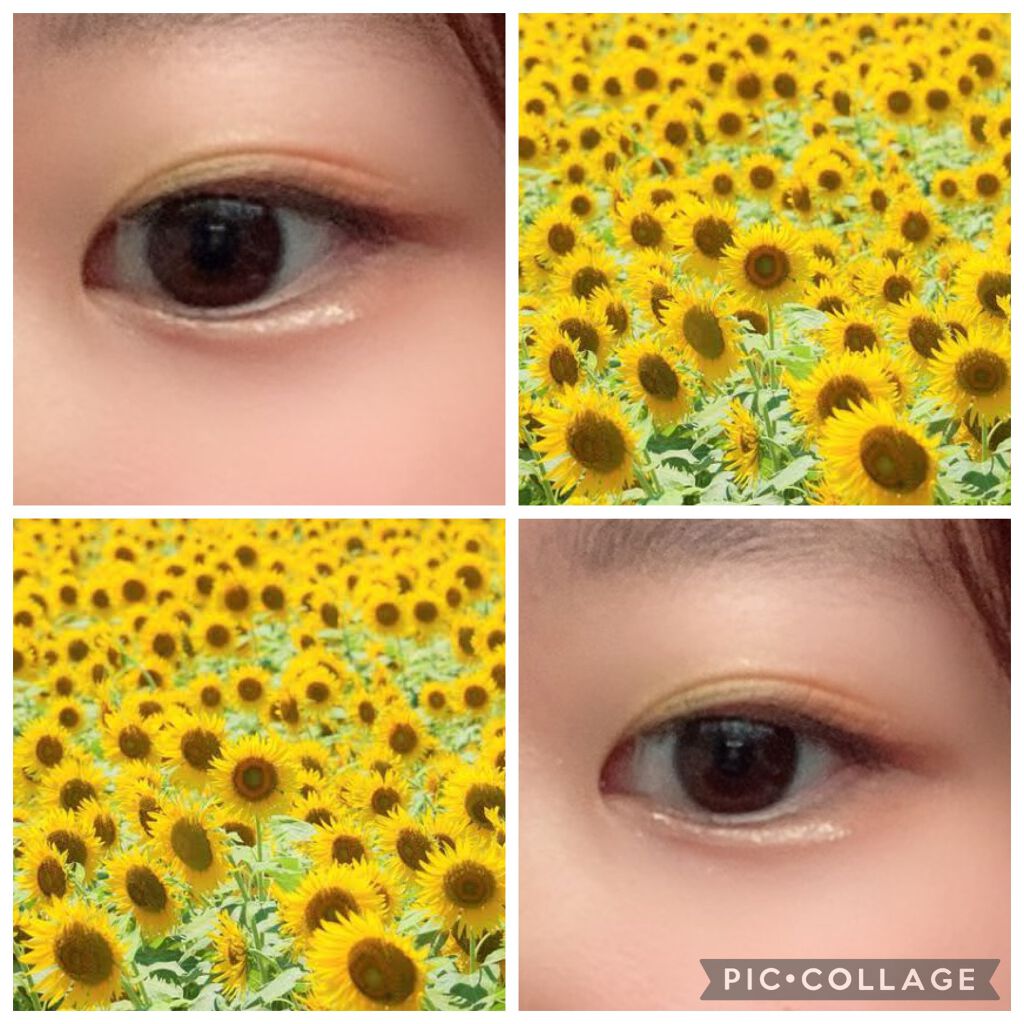 シャドーカスタマイズ/MAJOLICA MAJORCA/単色アイシャドウを使ったクチコミ（2枚目）