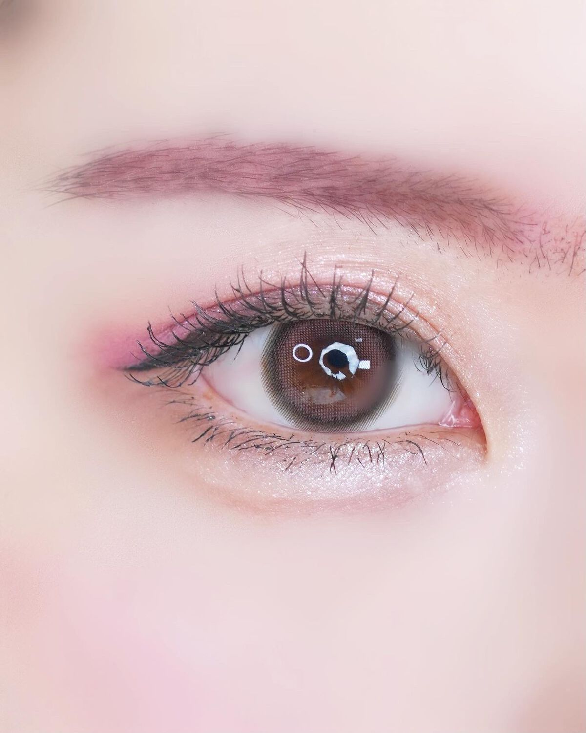 3CE ニューテイク アイシャドウパレット/3CE/アイシャドウパレットを使ったクチコミ(7枚目)