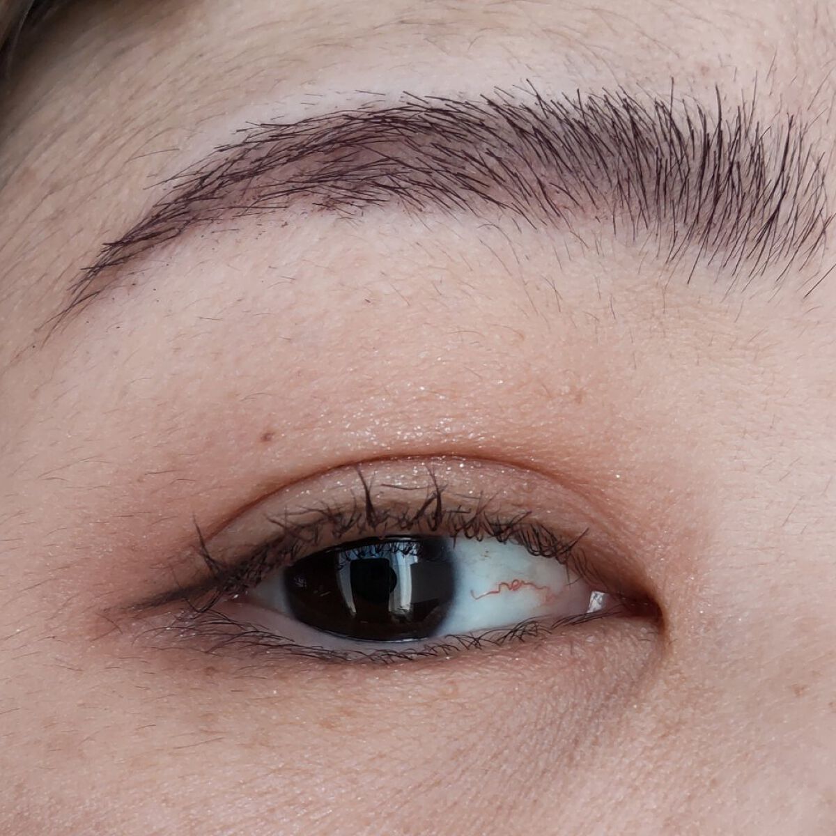 スマートミニアイブロウカラー/キャンメイク/眉マスカラを使ったクチコミ（2枚目）