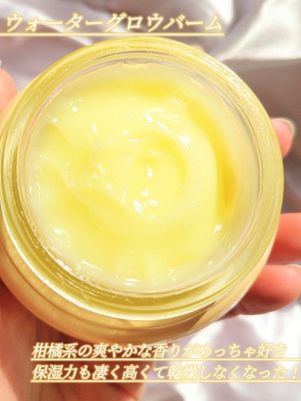 ウォーターグローバーム/VELY VELY/フェイスクリームを使ったクチコミ(2枚目)