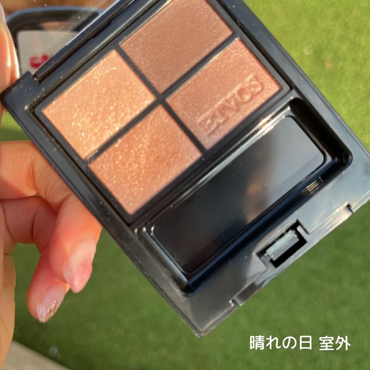 ミネラルクラッシィシャドー/エトヴォス/アイシャドウパレットを使ったクチコミ(6枚目)