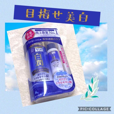 白潤プレミアム 薬用浸透美白化粧水/肌ラボ/化粧水を使ったクチコミ（1枚目）