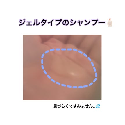 モイストアップ ジェル シャンプー/トリートメント/fuettarich (フエッタリッチ)/サロンシャンプーを使ったクチコミ(2枚目)
