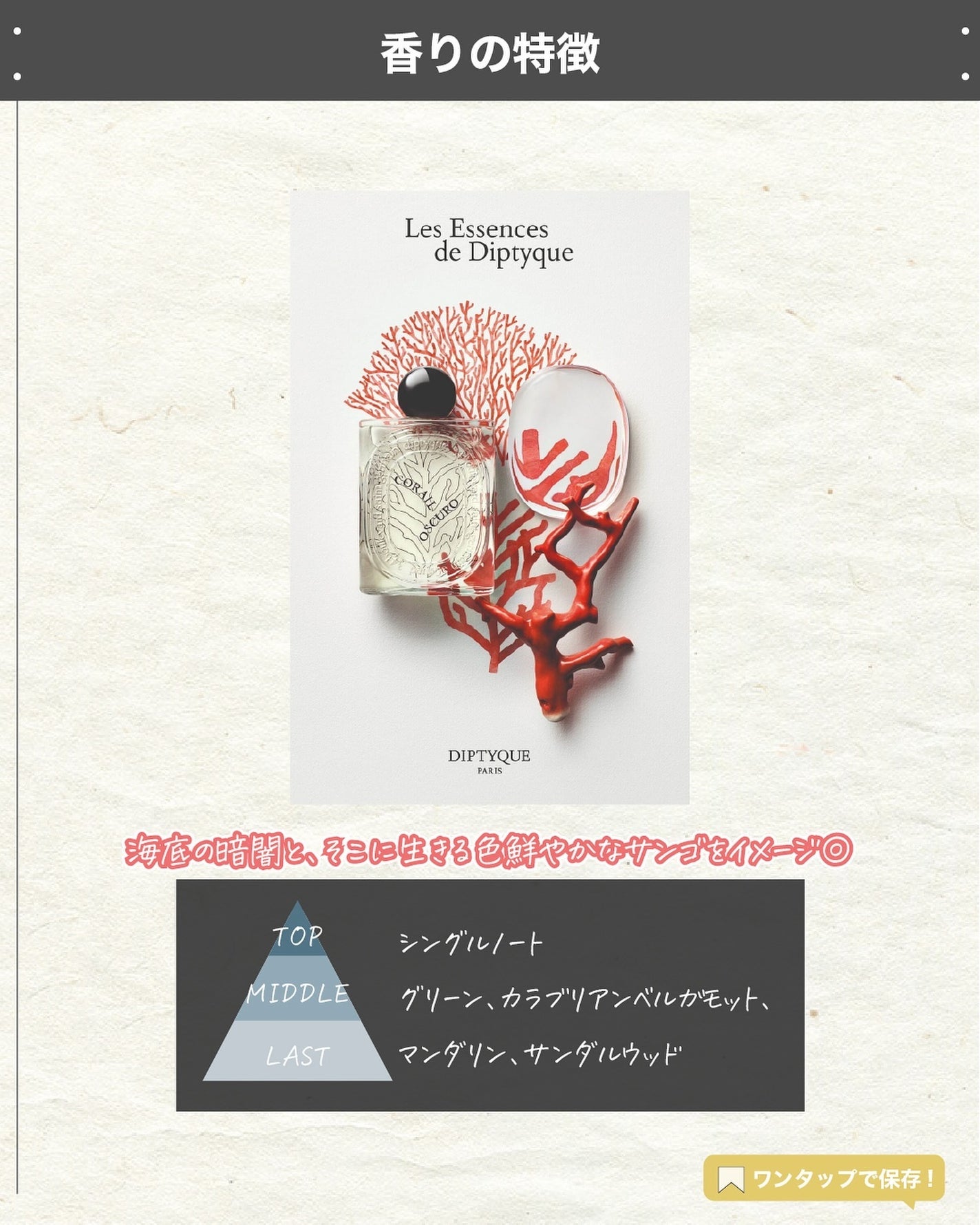エスログ┊1日1分のモテ香水紹介 on LIPS 「.『新作香水海の香り』🌳製品情報🌳DIPTYQUEコライユオス..」(3枚目)