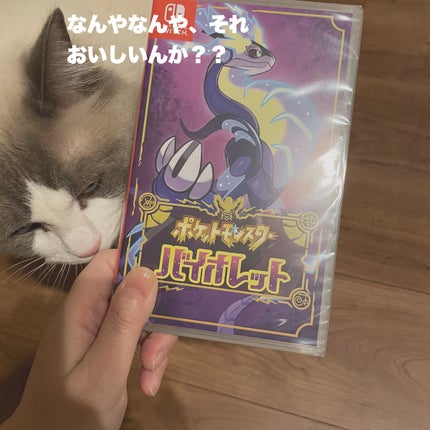 レ キャトル オンブル ツイード/CHANEL/アイシャドウパレットを使ったクチコミ(3枚目)