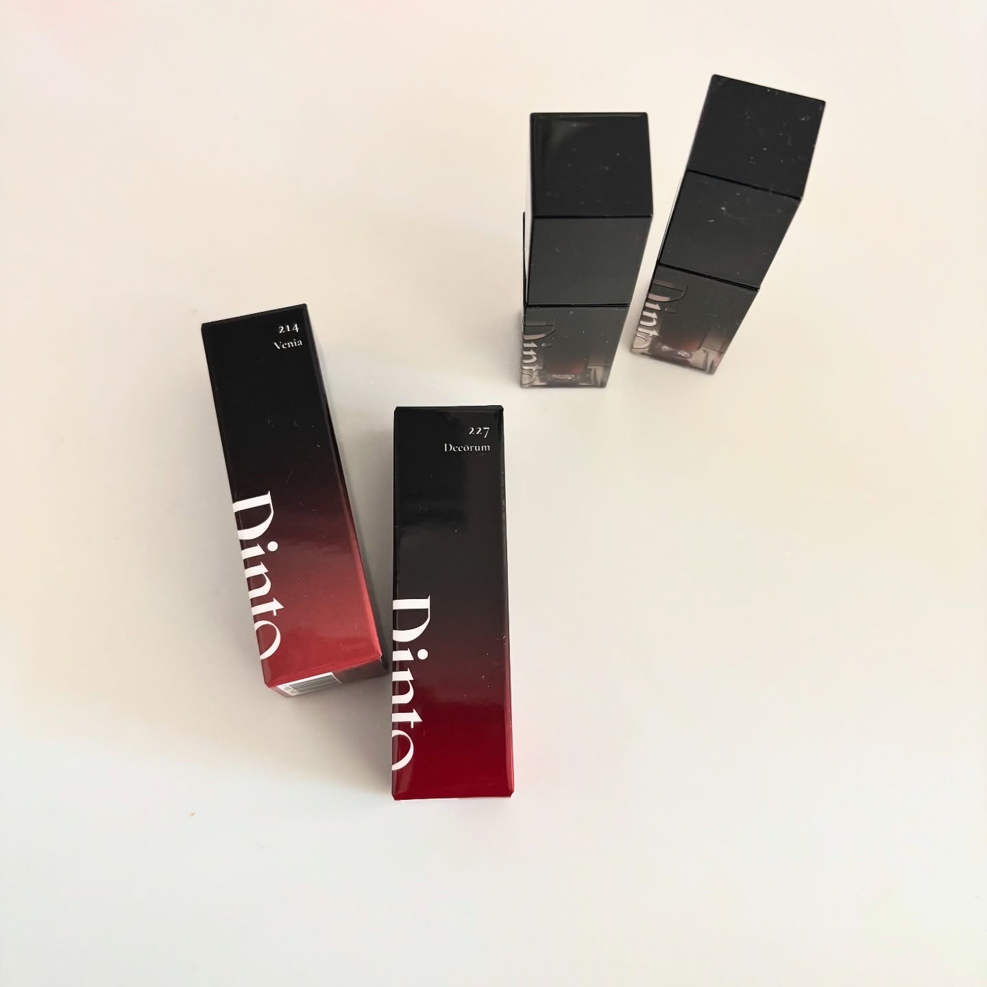 ブラーグロイリップティント 214 ヴェニア/Dinto/リップティントを使ったクチコミ（1枚目）