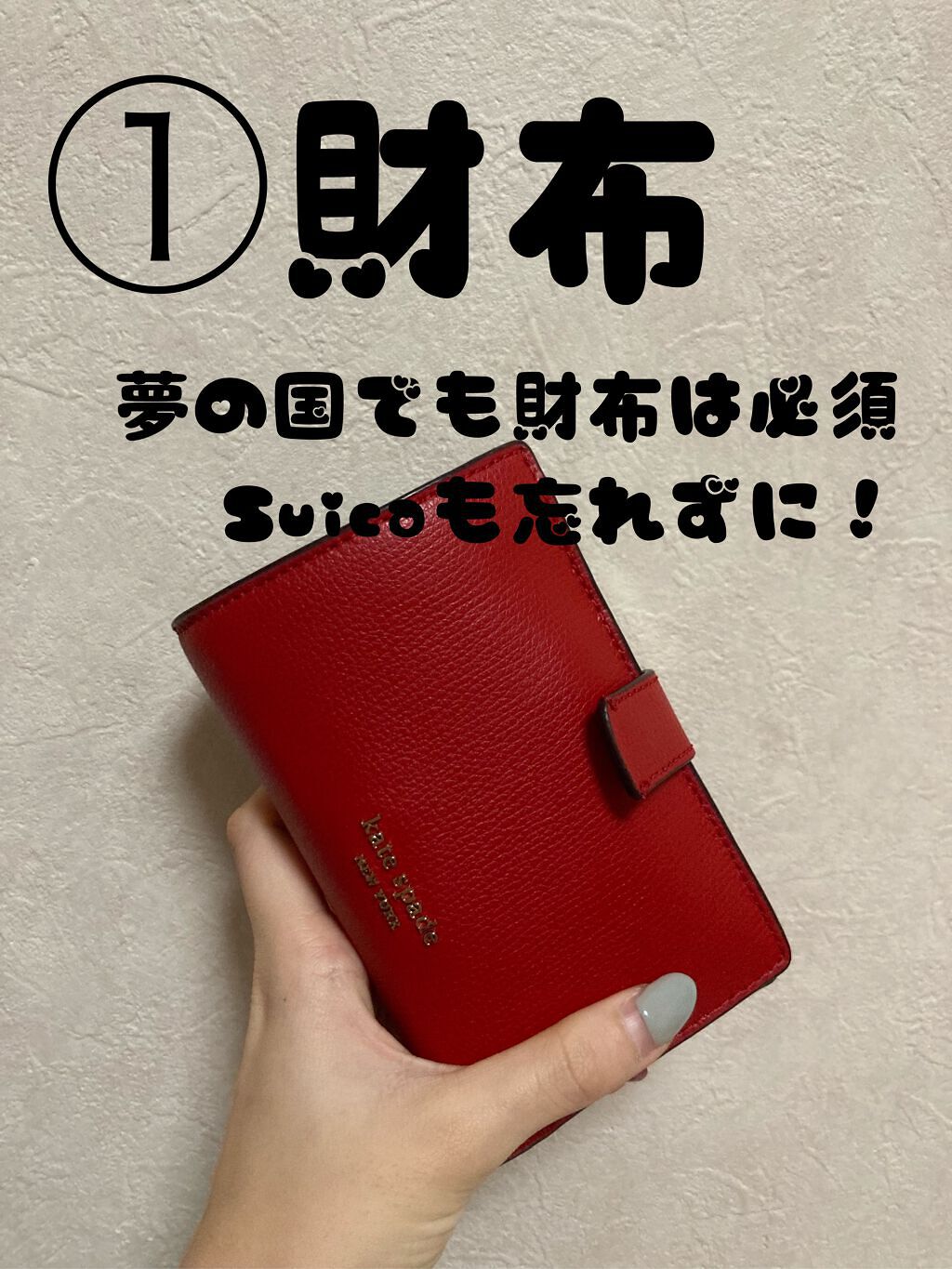 ちゅん フォロバ100🙆♀️ on LIPS 「【ディズニーの持ち物🐭🏰🤍💨】ディズニーでお洒落したい!!ちっ..」(2枚目)