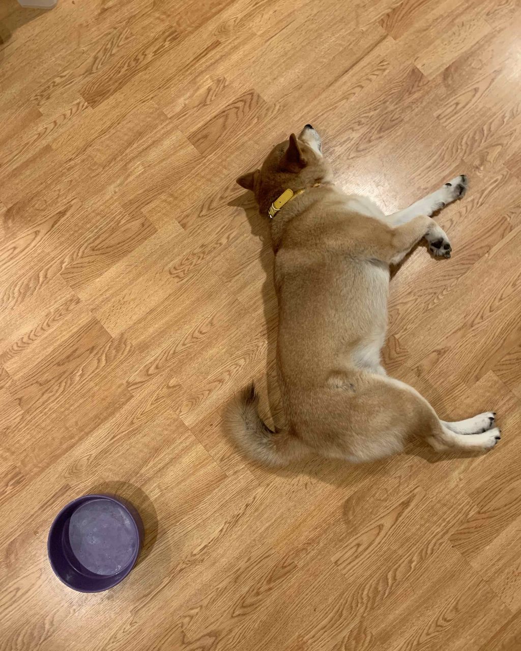 ステイオンバームルージュ/キャンメイク/口紅を使ったクチコミ（1枚目）