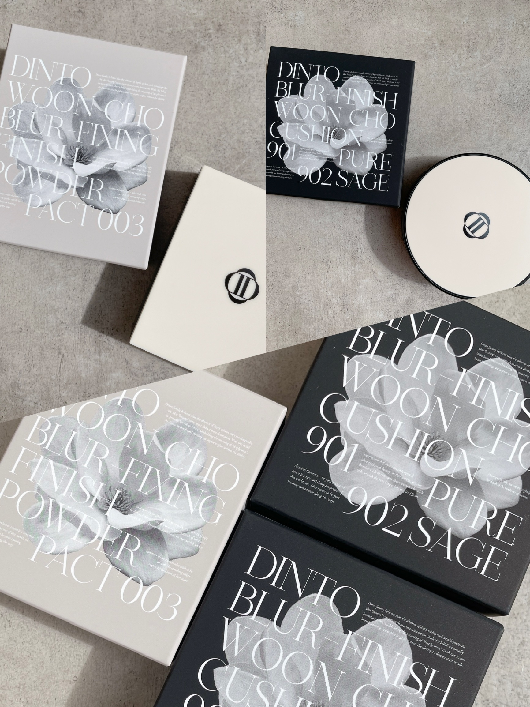 ブラーフィニッシュ雲楚クッション/Dinto/クッションファンデーションを使ったクチコミ（1枚目）