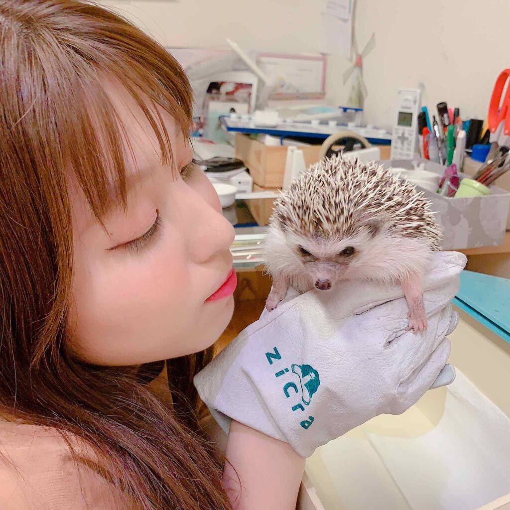 プロ アイ パレット/CLIO/アイシャドウパレットを使ったクチコミ（1枚目）