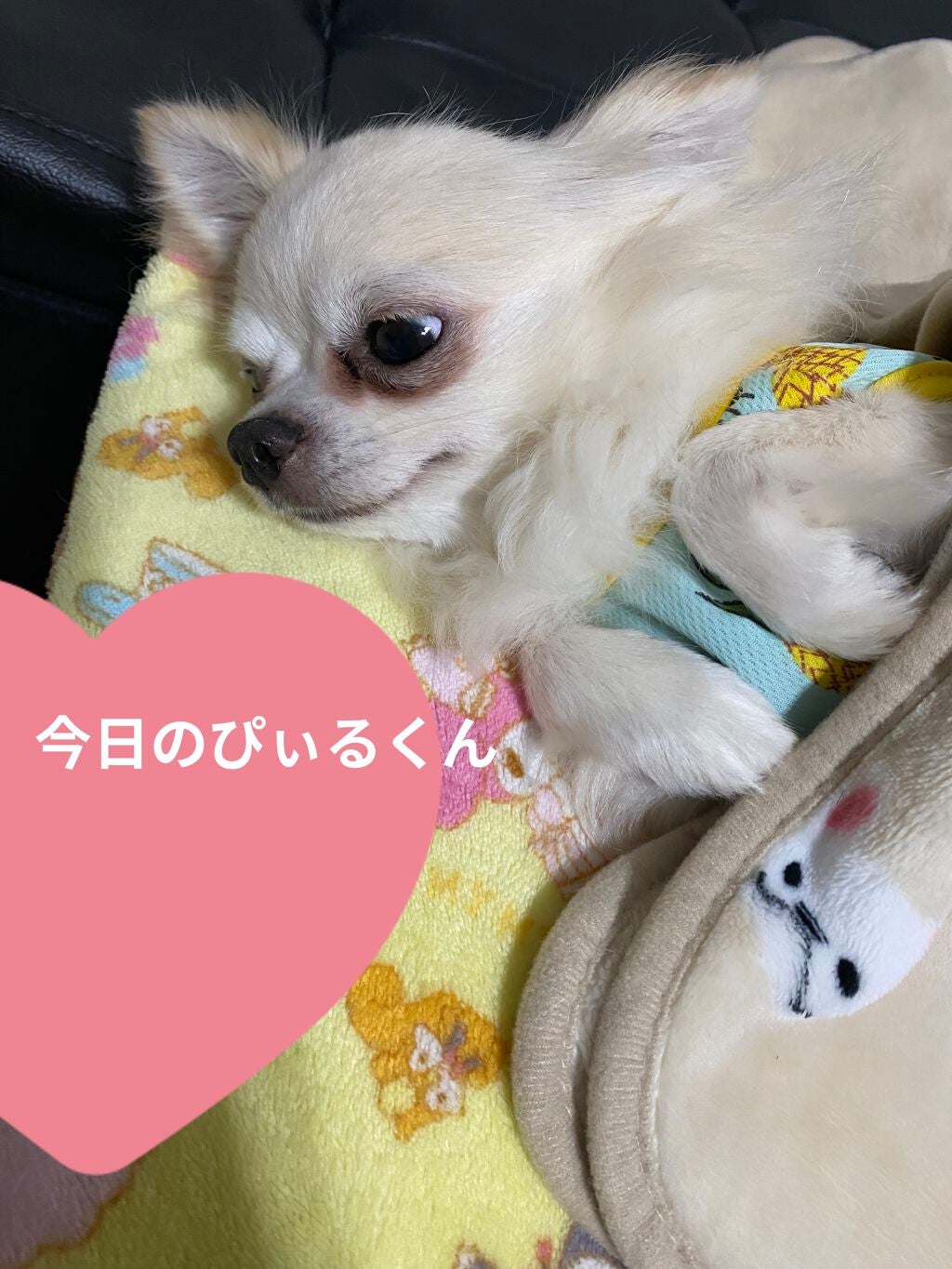 エテュセ リップエディション(プランパー)リッチスタイル/ヘルシースタイル/ettusais/リップケアを使ったクチコミ(5枚目)