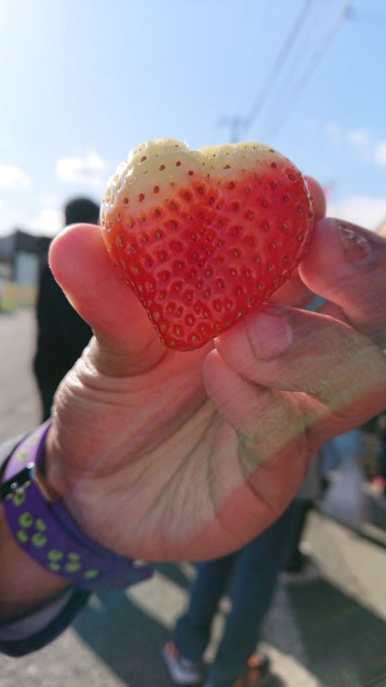 pink_blush_r0w on LIPS 「かかと削り今から使ってみるね。綺麗になりますように♥とれぼは、..」(4枚目)