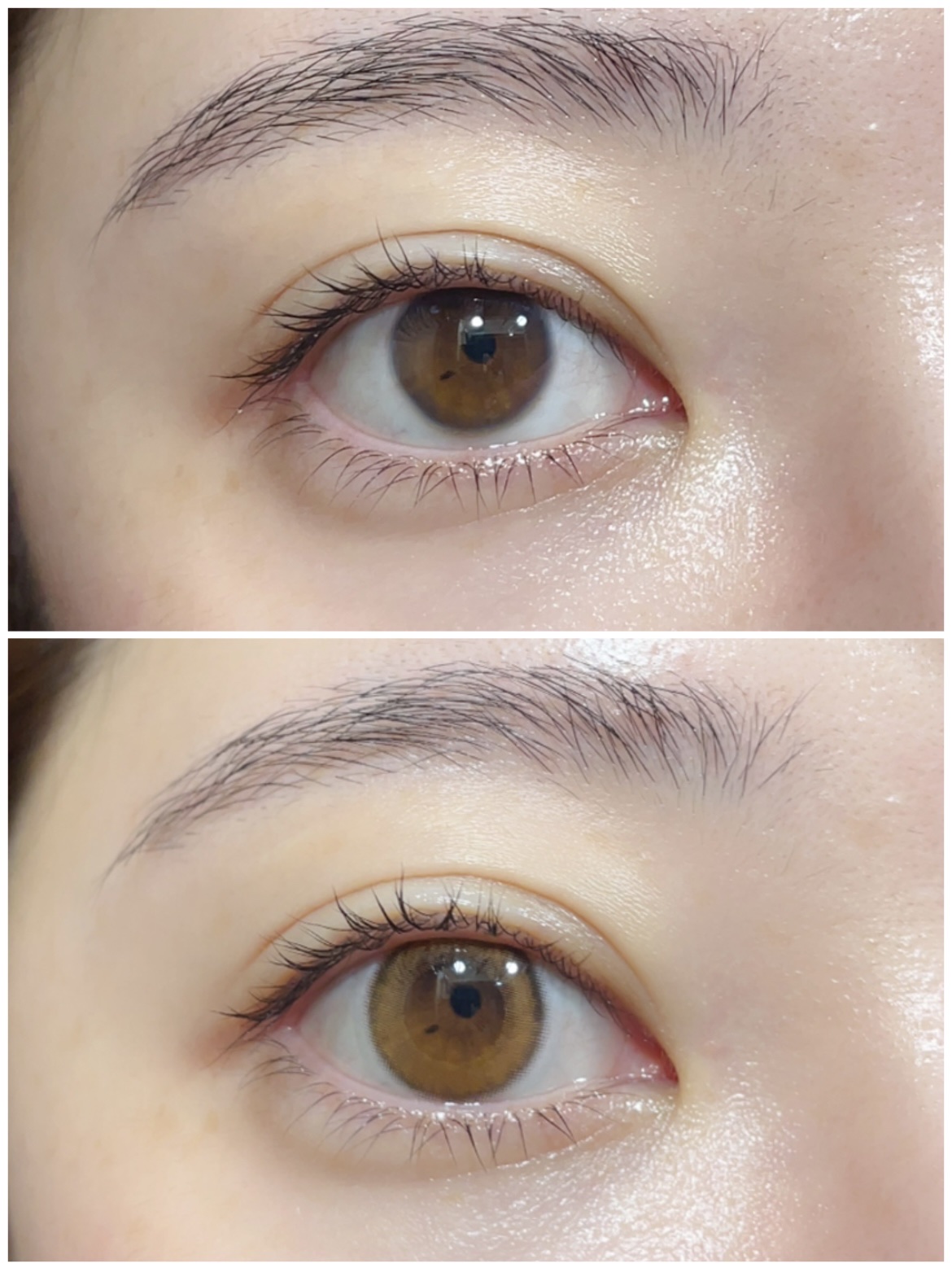 エルージュ 2weeks/éRouge/２週間（２WEEKS）カラコンを使ったクチコミ（2枚目）