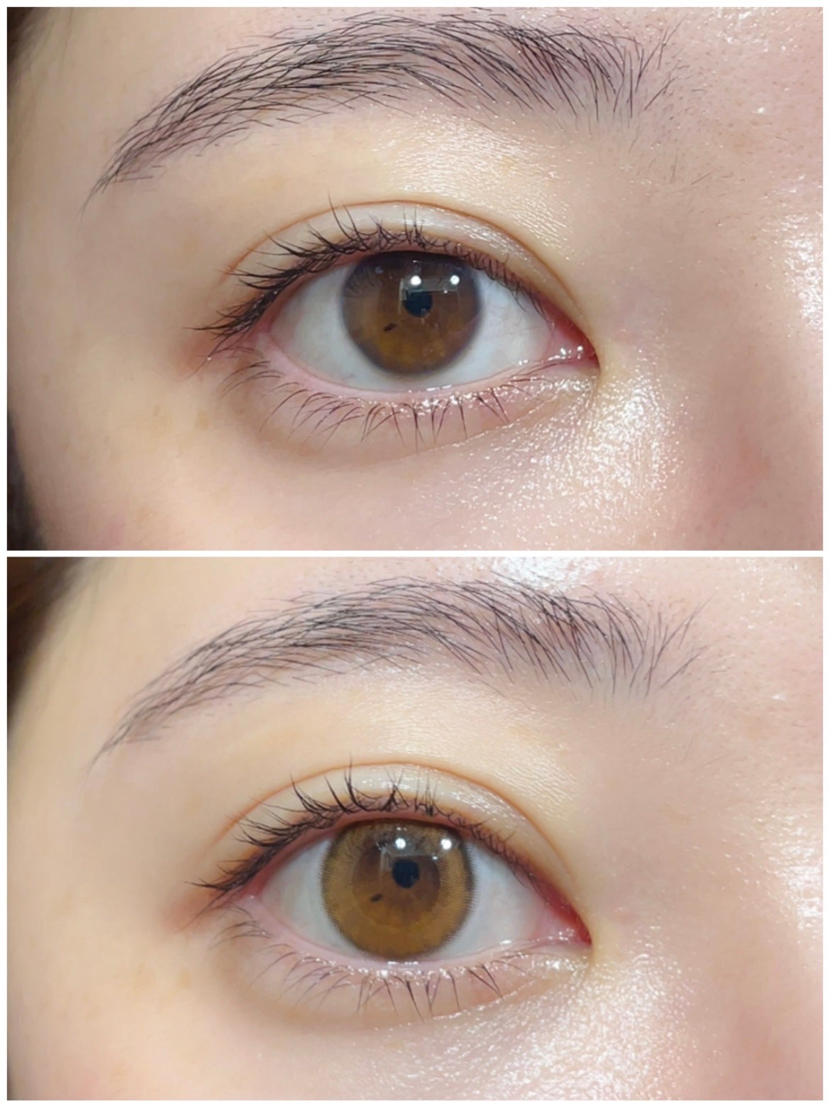 エルージュ 2weeks/éRouge/2週間(2WEEKS)カラコンを使ったクチコミ(2枚目)