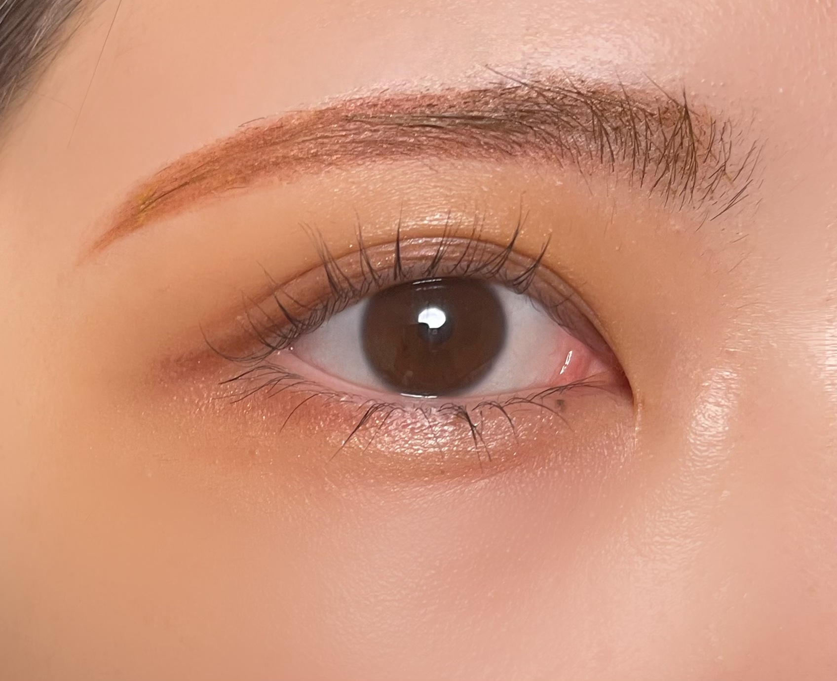 &be パレットアイシャドウ サンドブラウン/＆be/アイシャドウパレットを使ったクチコミ（2枚目）