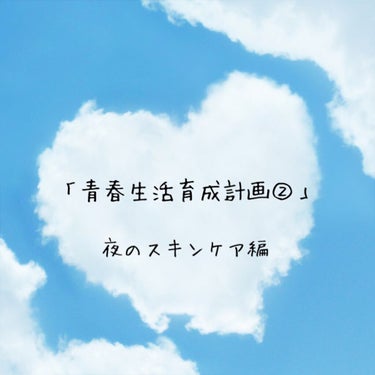 今からでも遅くない！！
「青春生活育成計画②」STARTです！！




お待たせ致しました！！
前回の投稿の続き、夜のスキンケアについて話していこうと思います

【使った商品】
・#NEW 白のルルル