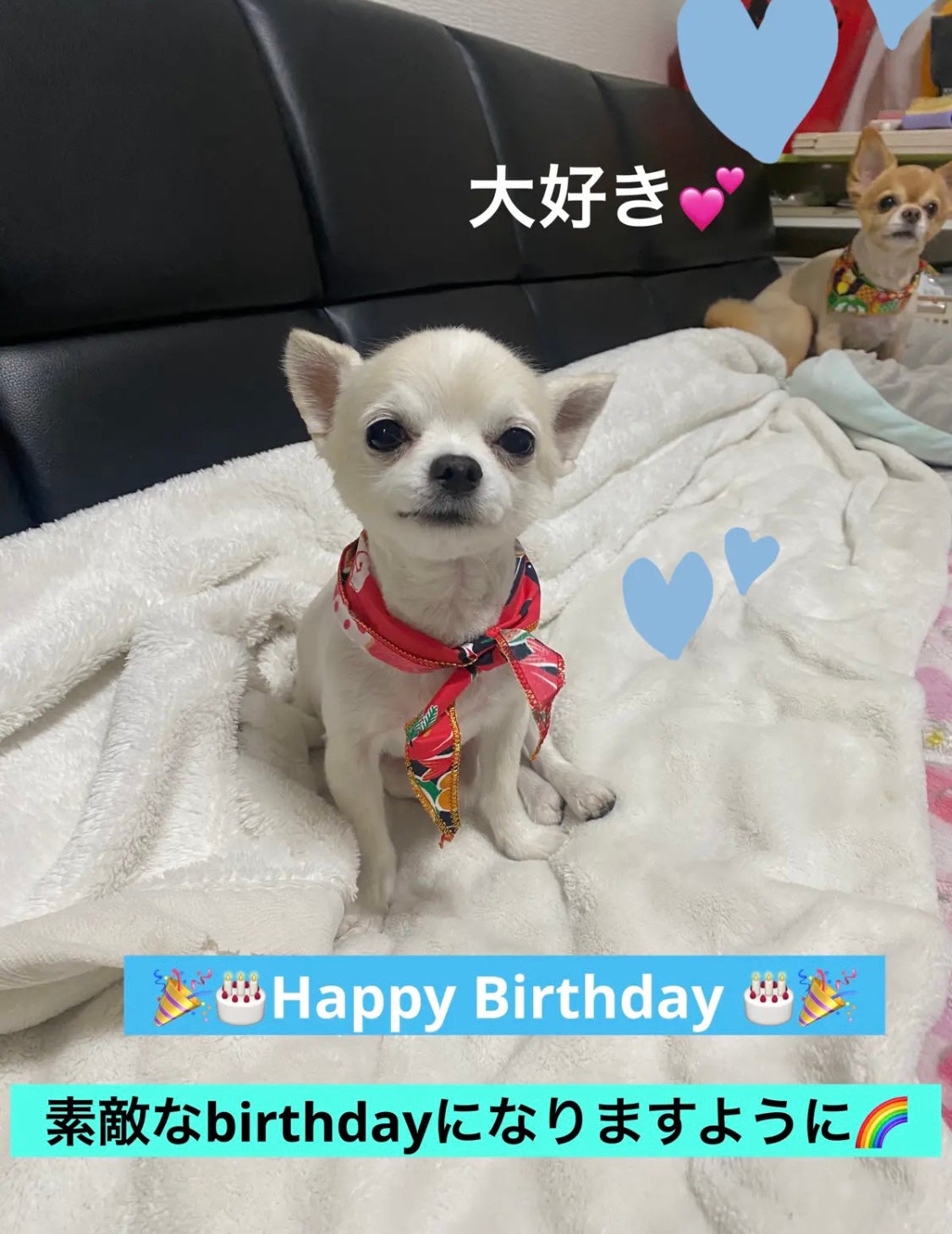 ディオール ヴェルニ/Dior/マニキュアを使ったクチコミ(6枚目)