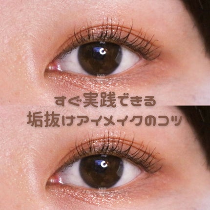 アイシャドウブラシセット/ロージーローザ/メイクブラシを使ったクチコミ(1枚目)