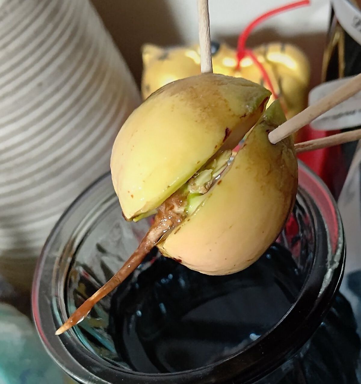 ガラス花瓶/DAISO/その他を使ったクチコミ（2枚目）