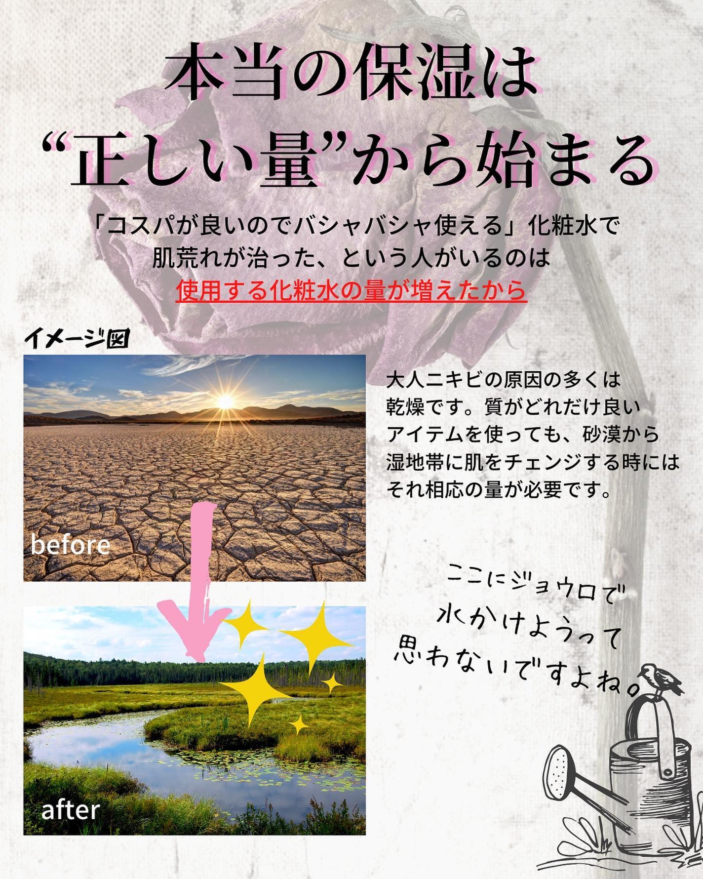 おゆみ|ニキビ・ニキビ跡ケア on LIPS 「【質より量、というより、量と質】こんばんは。おゆみです。..」(2枚目)