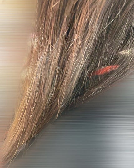 ミルキーヘアカラー/フレッシュライト/ヘアカラーを使ったクチコミ(6枚目)