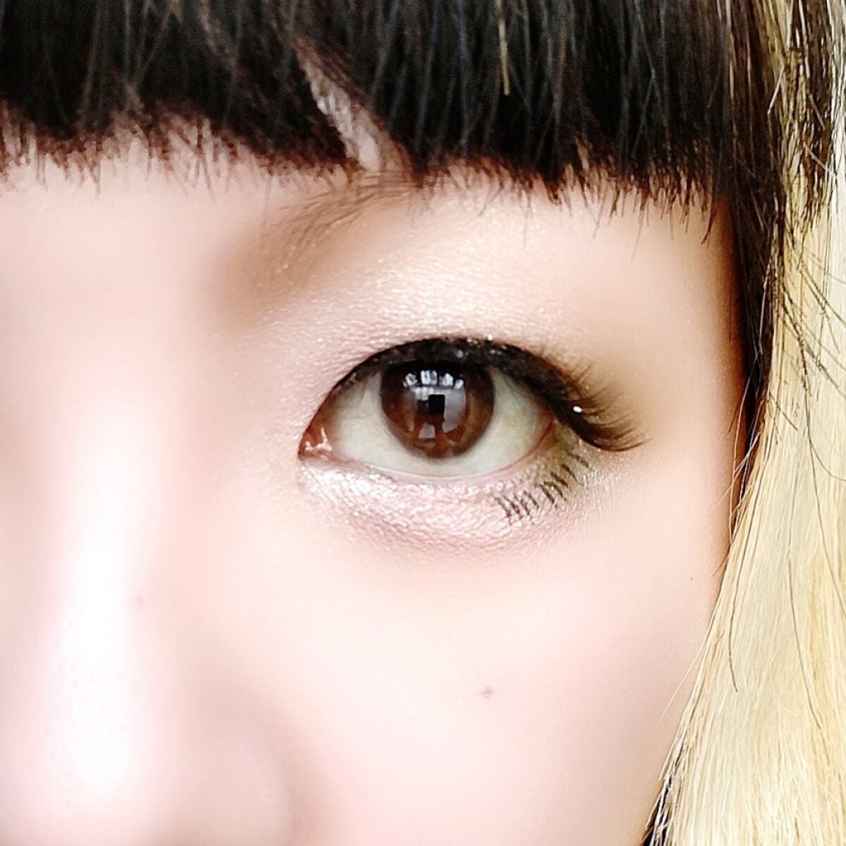 シングルカラーアイシャドウ/CEZANNE/単色アイシャドウを使ったクチコミ(6枚目)