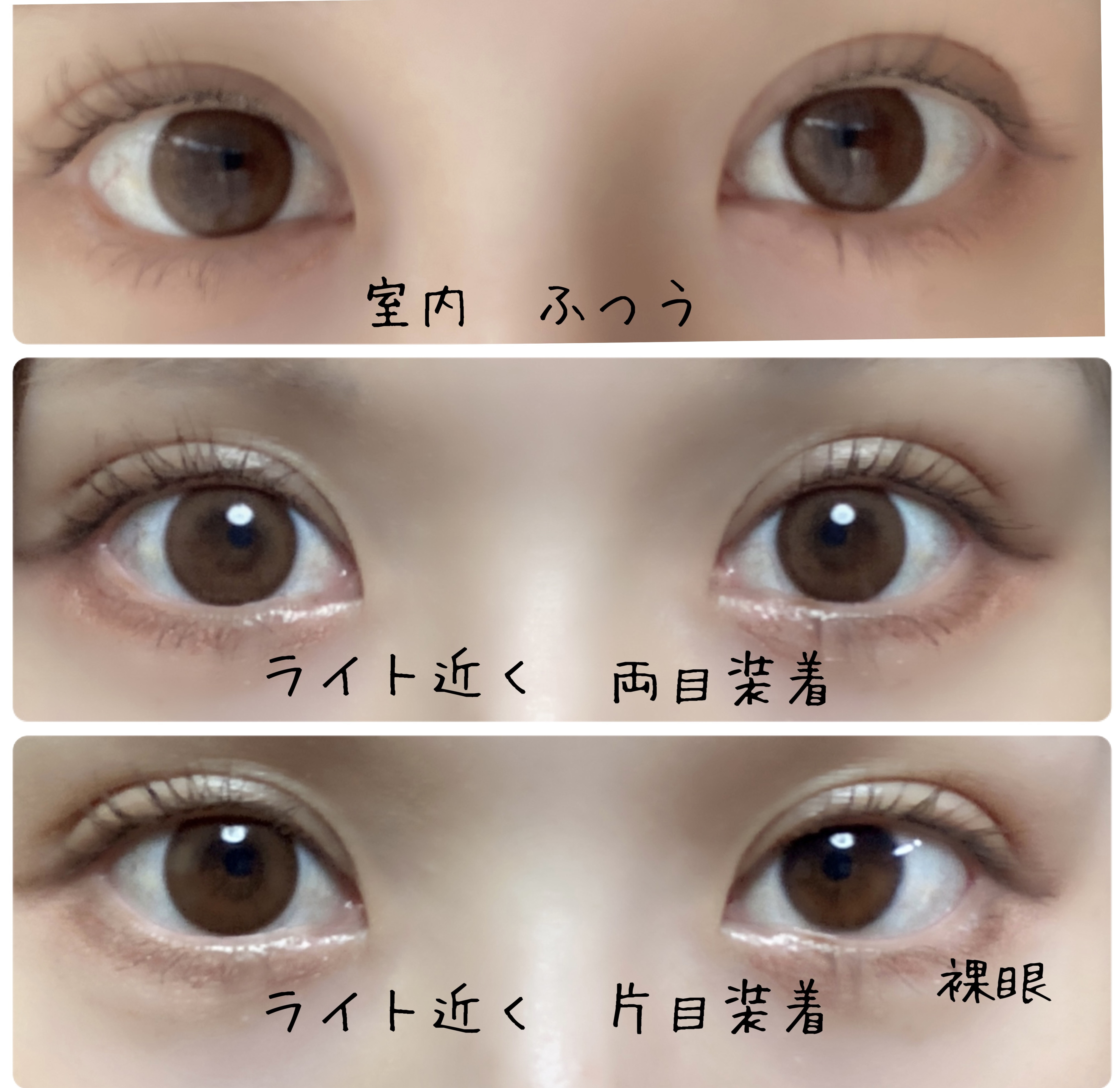 トリコニナル ワンデー/トリコニナル/ワンデー（１DAY）カラコンを使ったクチコミ（2枚目）