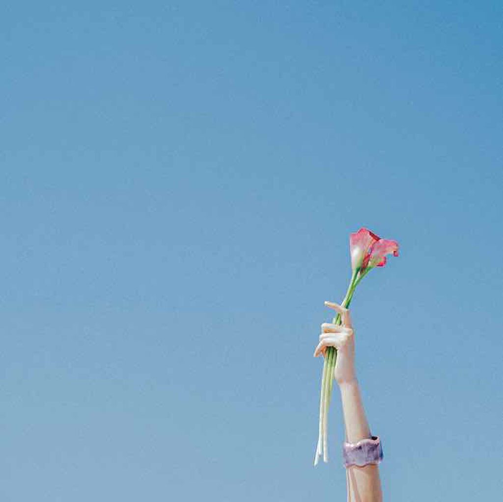 オイルインシャンプー/オイルインコンディショナー(リッチ&リペア)/ディアボーテ/市販シャンプーを使ったクチコミ(1枚目)