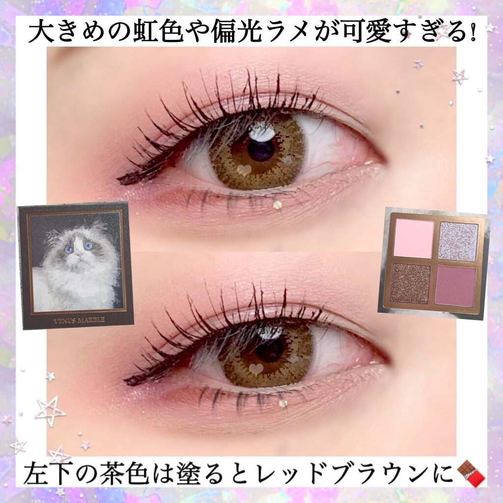 Venus Marble アイシャドウキャットシリーズ/Venus Marble/アイシャドウパレットを使ったクチコミ(2枚目)