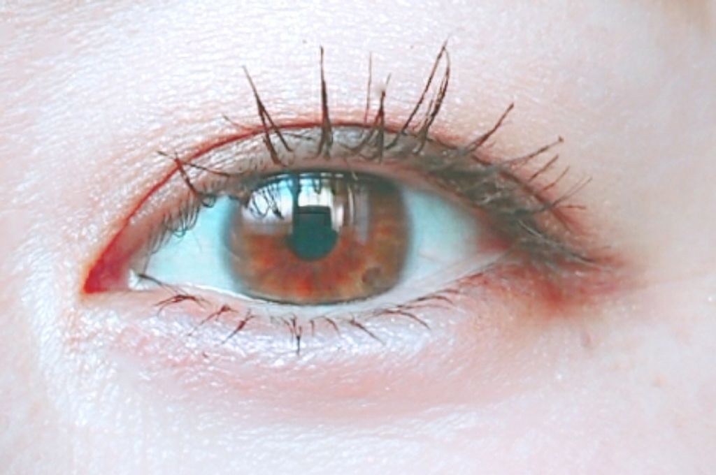 ゴクブトマスカラ/キャンメイク/マスカラを使ったクチコミ(2枚目)