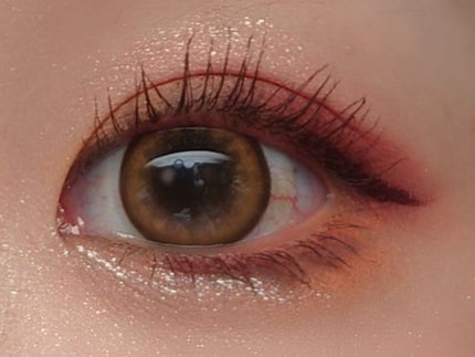 エクスプローラ12色 動物アイシャドウパレット/PERFECT DIARY/アイシャドウパレットを使ったクチコミ(5枚目)