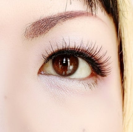 プロ アイ パレット 102 CHERISH SPRING/CLIO/アイシャドウパレットの画像