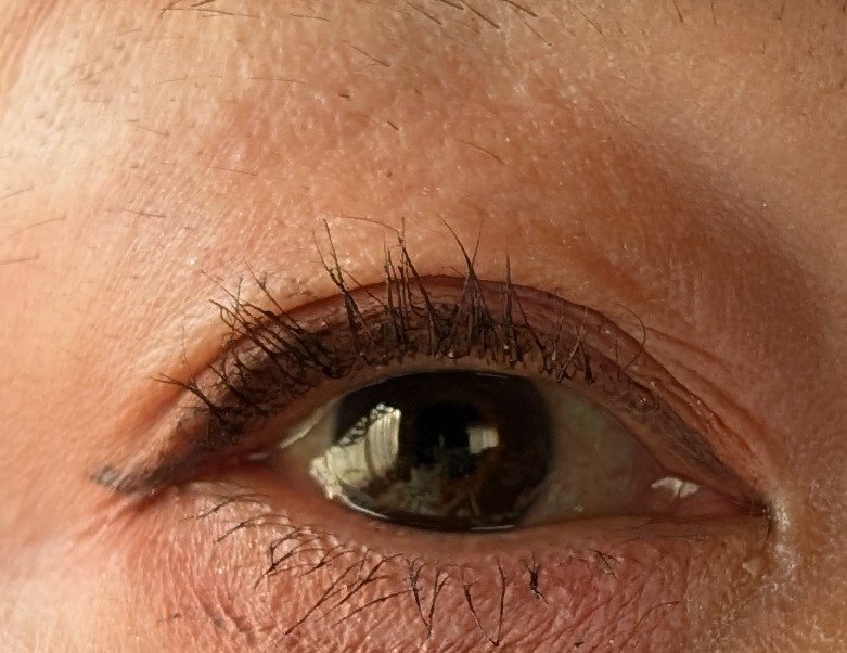 ムードオンアイシャドウ/Lilytone/アイシャドウパレットを使ったクチコミ（2枚目）