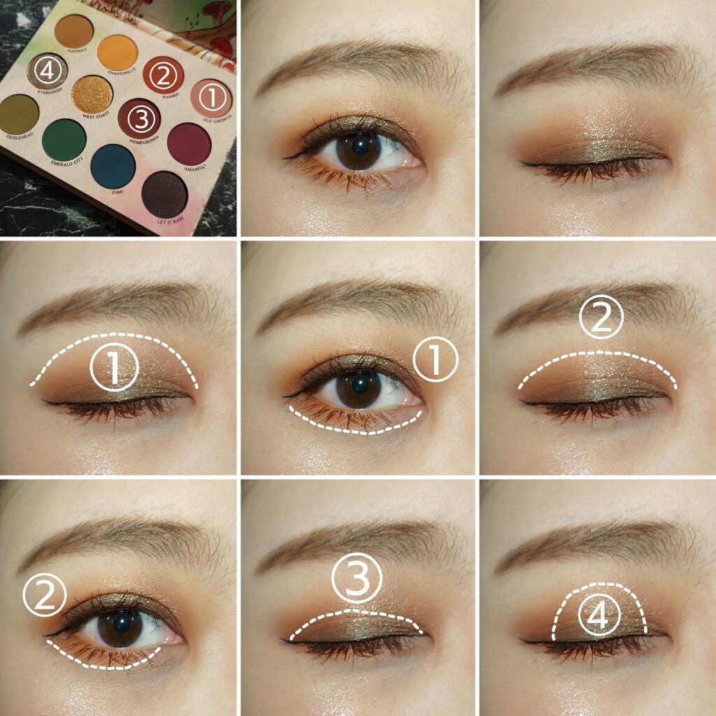 At Forest Sight/ColourPop/アイシャドウパレットを使ったクチコミ(4枚目)