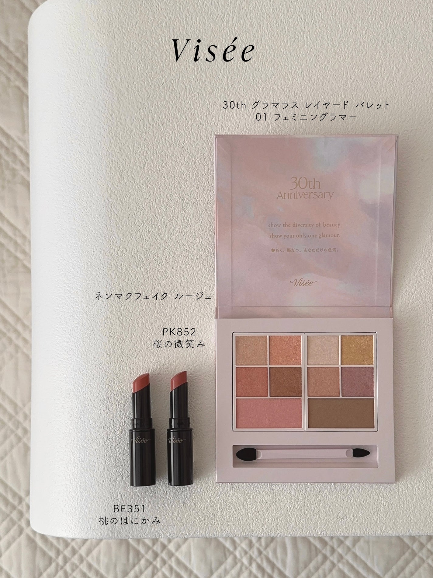 ネンマクフェイク ルージュ/Visée/口紅を使ったクチコミ(2枚目)