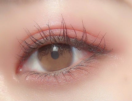 シャドウパレット/dasique/アイシャドウパレットを使ったクチコミ(1枚目)