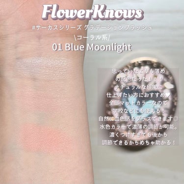 サーカスシリーズ グラデーションブラッシュ  03 Wonderful Festival/FlowerKnows/パウダーチークを使ったクチコミ（3枚目）