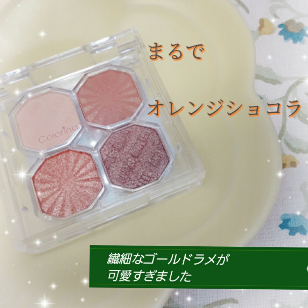 アイシャドウパレット/Colorina Pro-Artist/アイシャドウパレットを使ったクチコミ（1枚目）