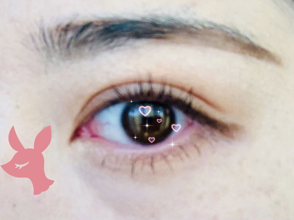 ブラシ付きアイブロウ繰り出し/CEZANNE/アイブロウペンシルを使ったクチコミ（2枚目）