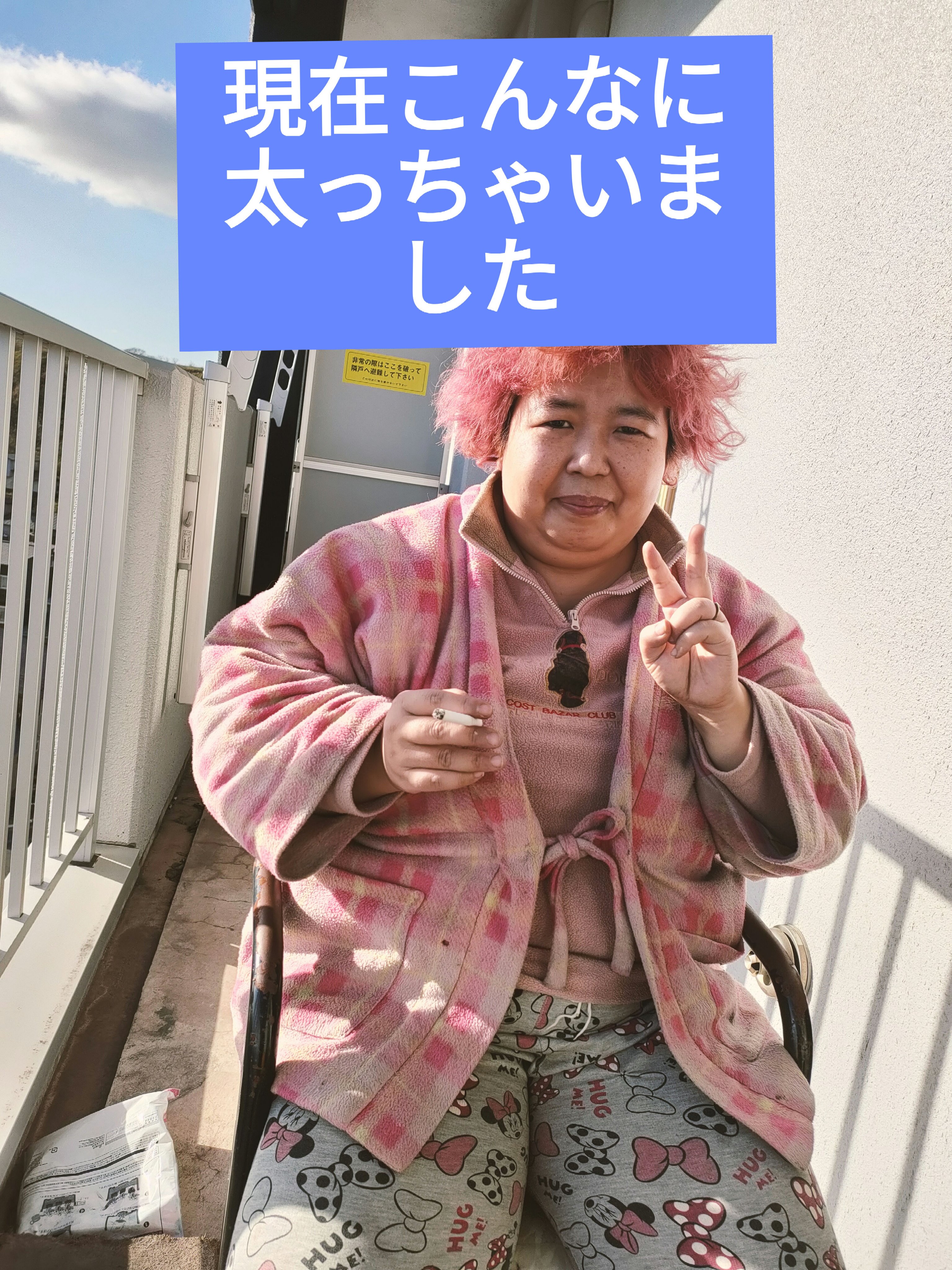 食べてもDiet/井藤漢方製薬/ボディサプリメントを使ったクチコミ（2枚目）