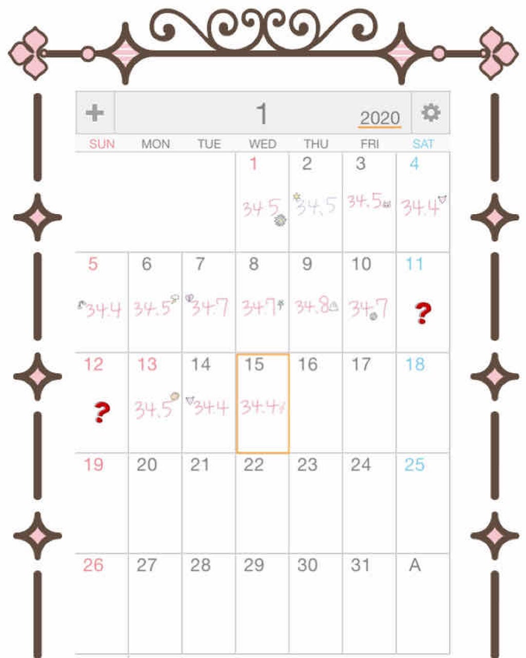 ひめねこ on LIPS 「はろはろー/ふくらはぎマッサージを始めてから2週間が経過しまし..」(2枚目)