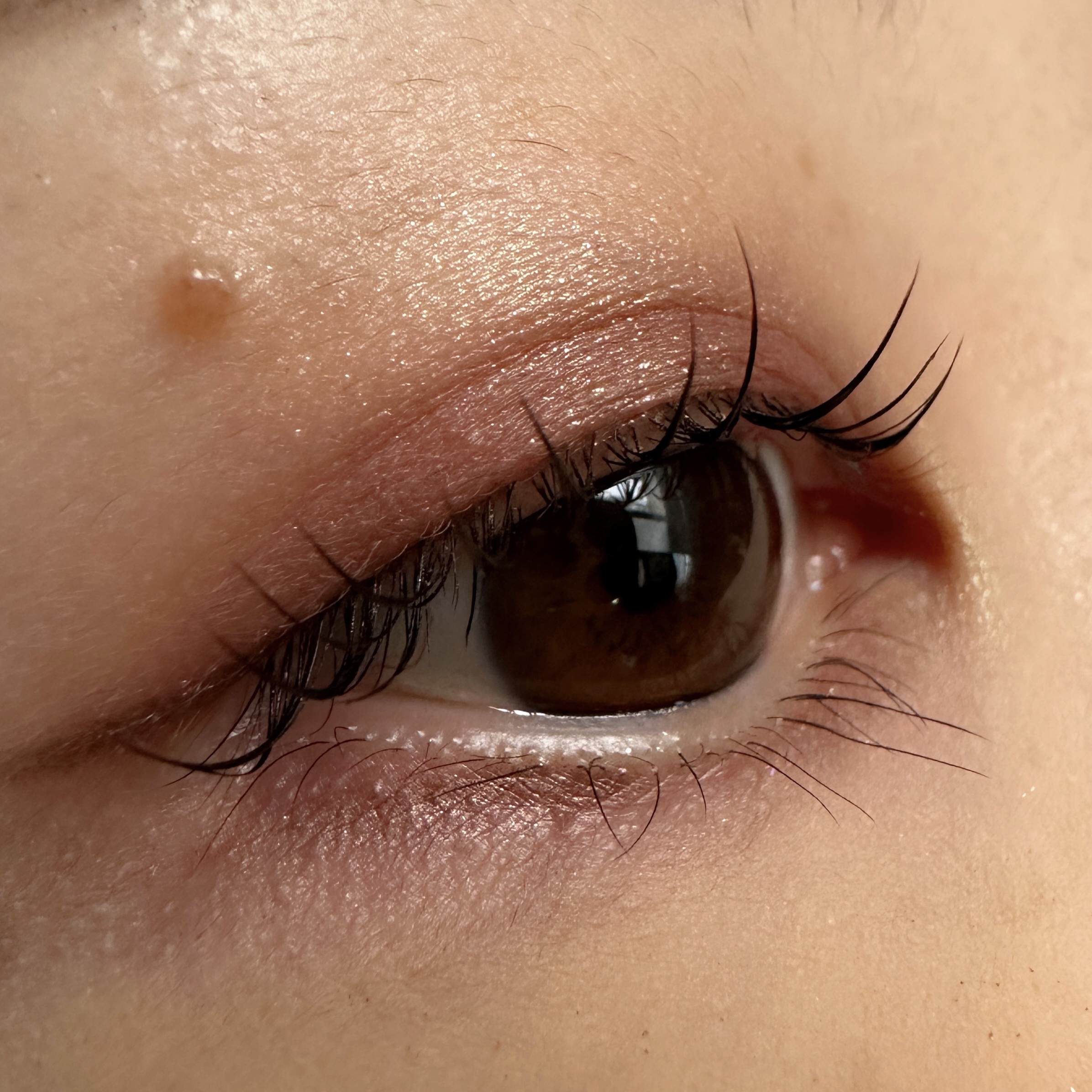 アディクション ザ アイシャドウ パール/ADDICTION/単色アイシャドウを使ったクチコミ（2枚目）