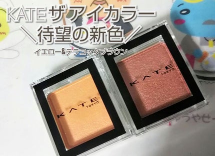 ケイト ザ アイカラー/KATE/単色アイシャドウを使ったクチコミ(1枚目)