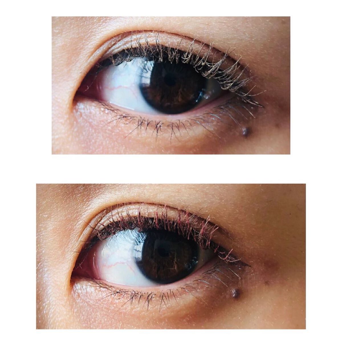 エテュセ アイエディション（マスカラベース）LE 05.メロウベージュ/ettusais/マスカラ下地を使ったクチコミ（3枚目）