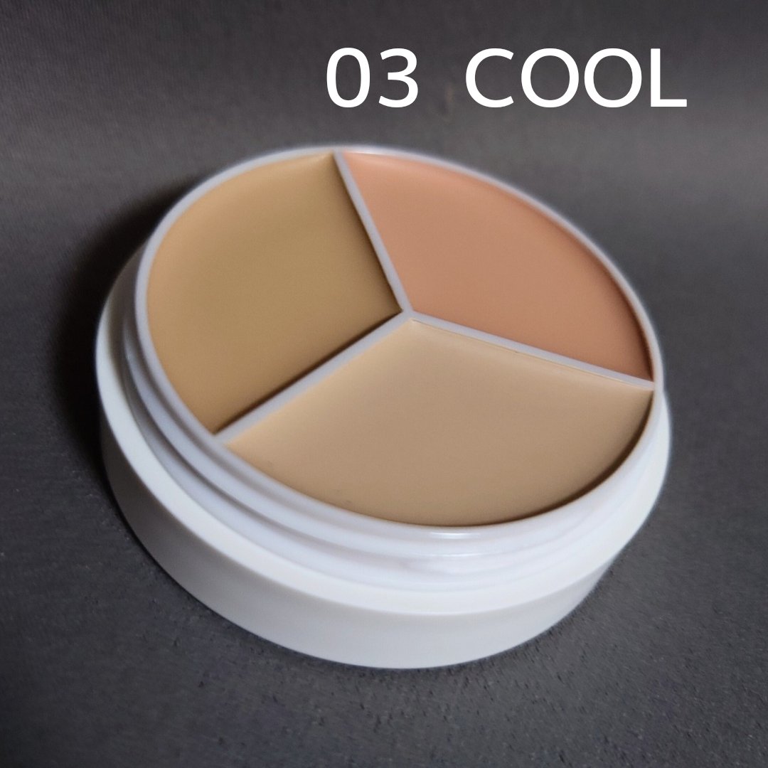 カバーアッププロコンシーラー/TFIT/パレットコンシーラーを使ったクチコミ（2枚目）