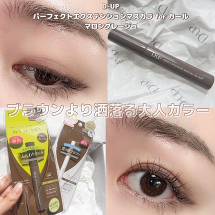 超細芯アイブロウ/CEZANNE/アイブロウペンシルを使ったクチコミ(4枚目)