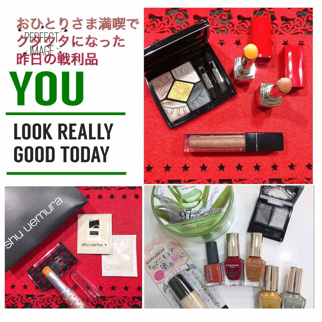 サンク クルール＜パワー ルック＞/Dior/アイシャドウパレットを使ったクチコミ（1枚目）