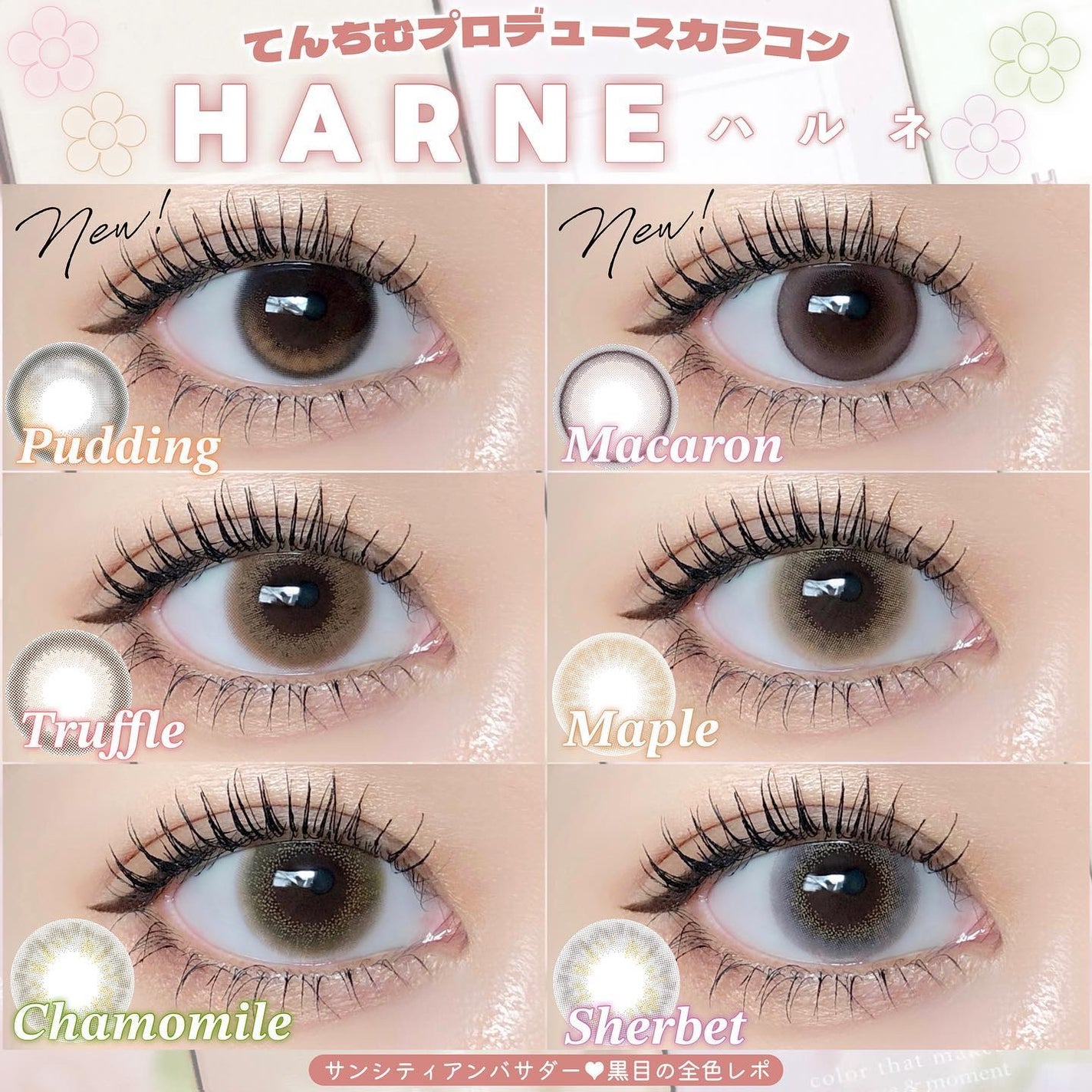 HARNE 1day/HARNE/ワンデー(1DAY)カラコンを使ったクチコミ(1枚目)