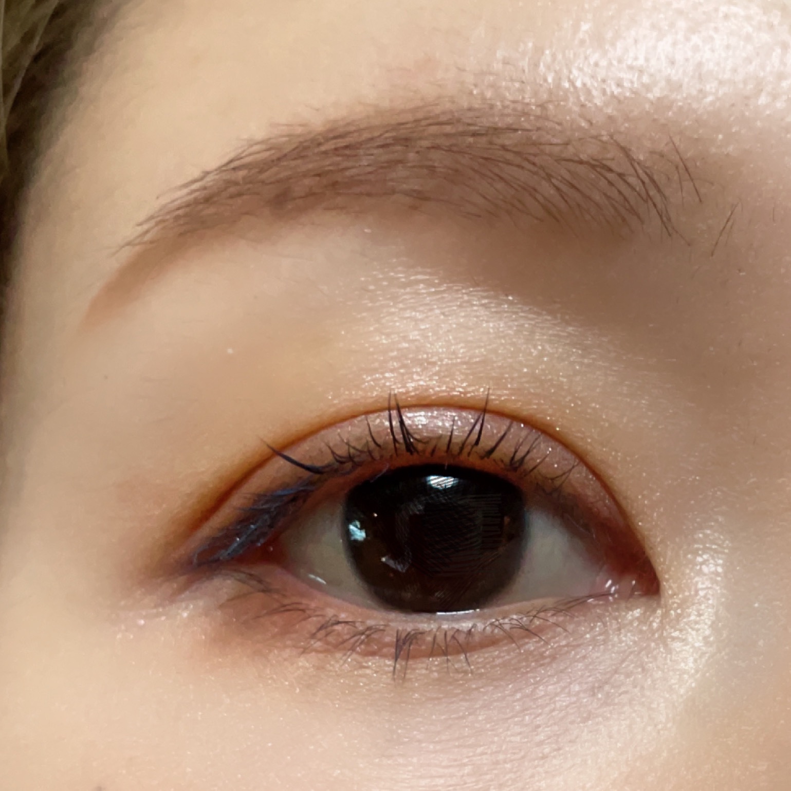 エアリーグロウ リップス 06 Camel Orange/LUNASOL/口紅を使ったクチコミ（2枚目）